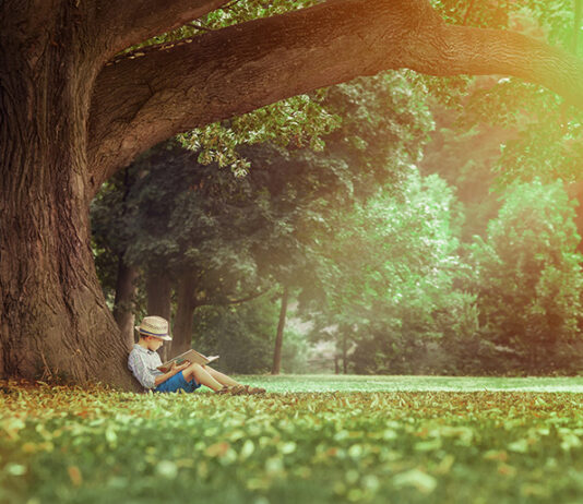Little boy reading a book under big linden tree