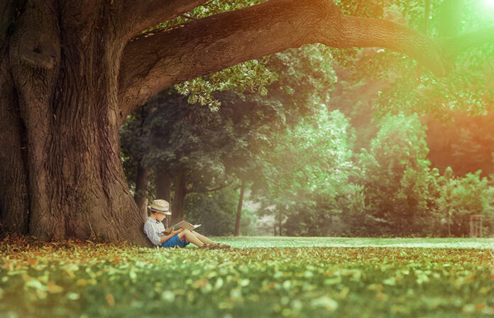 Little boy reading a book under big linden tree