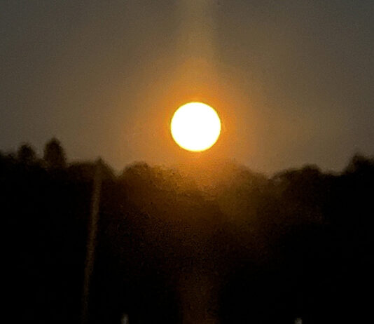 This Week in H’burg… …Sturgeon Moon