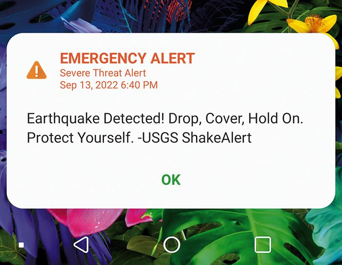 Phones Get ‘All Shook Up’