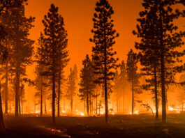 Local climate action heats up