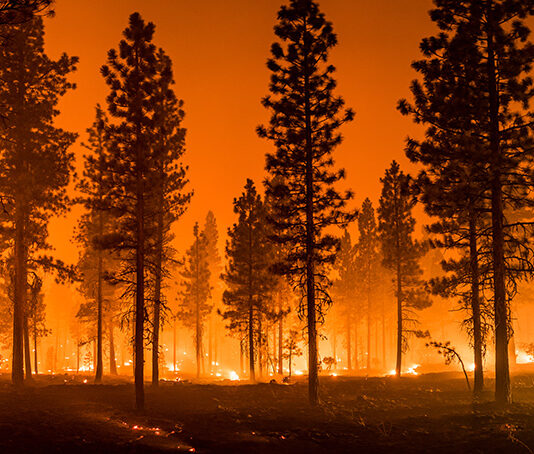 Local climate action heats up