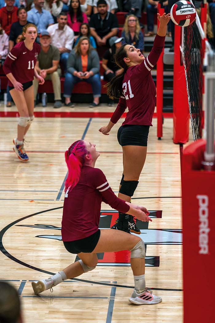 Greyhound girls have momentum