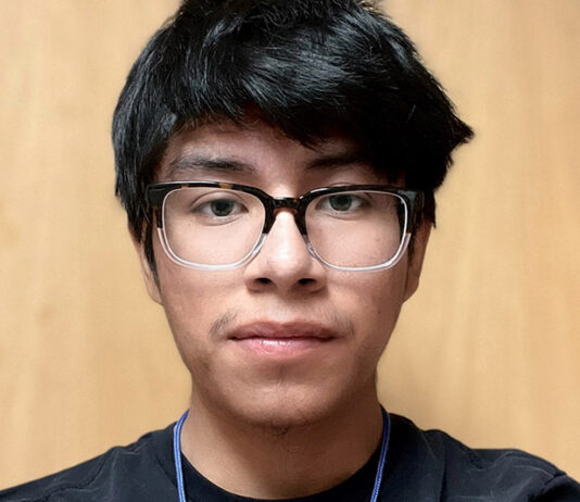 Candidate Sees Divided Future for Healdsburg