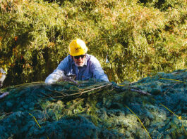Christmas Makes Early Appearance Downtown