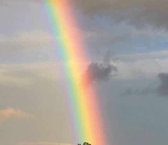 Artist’s Arresting Light
