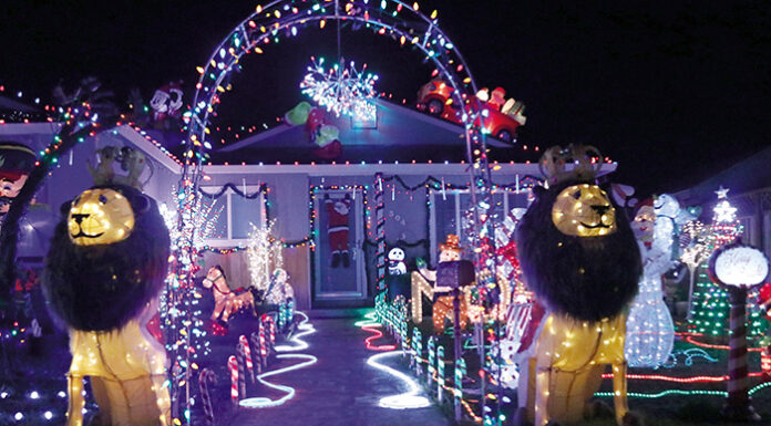 Healdsburg Brightens as Homes Illuminate for the Season