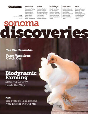 sonoma discoveries, special section