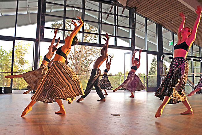 Dance Group in Need of New Practice, Performance Hub Space