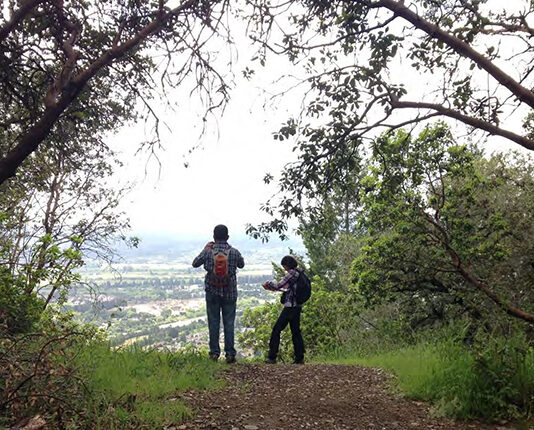 $100,000 for Fitch Mountain Public Art