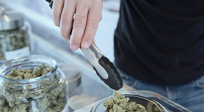 Cannabis Sales in the Pipeline