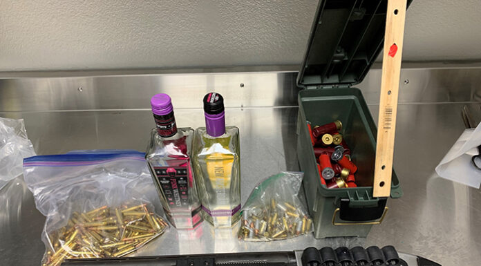 Early AM car chase ends in crash, arrest