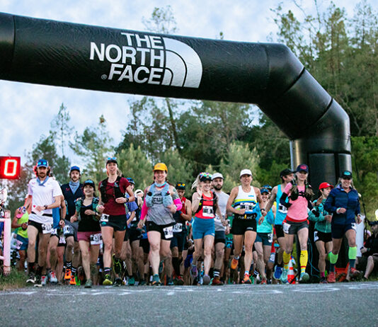 Healdsburg Happenings