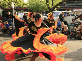 Healdsburg’s Country Fair Ready for Auction