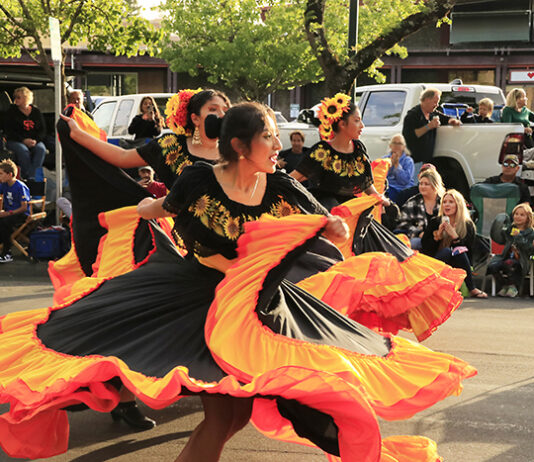 Healdsburg’s Country Fair Ready for Auction
