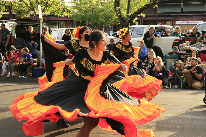 Healdsburg’s Country Fair Ready for Auction