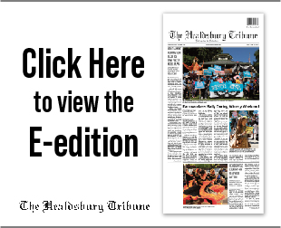 e-edition