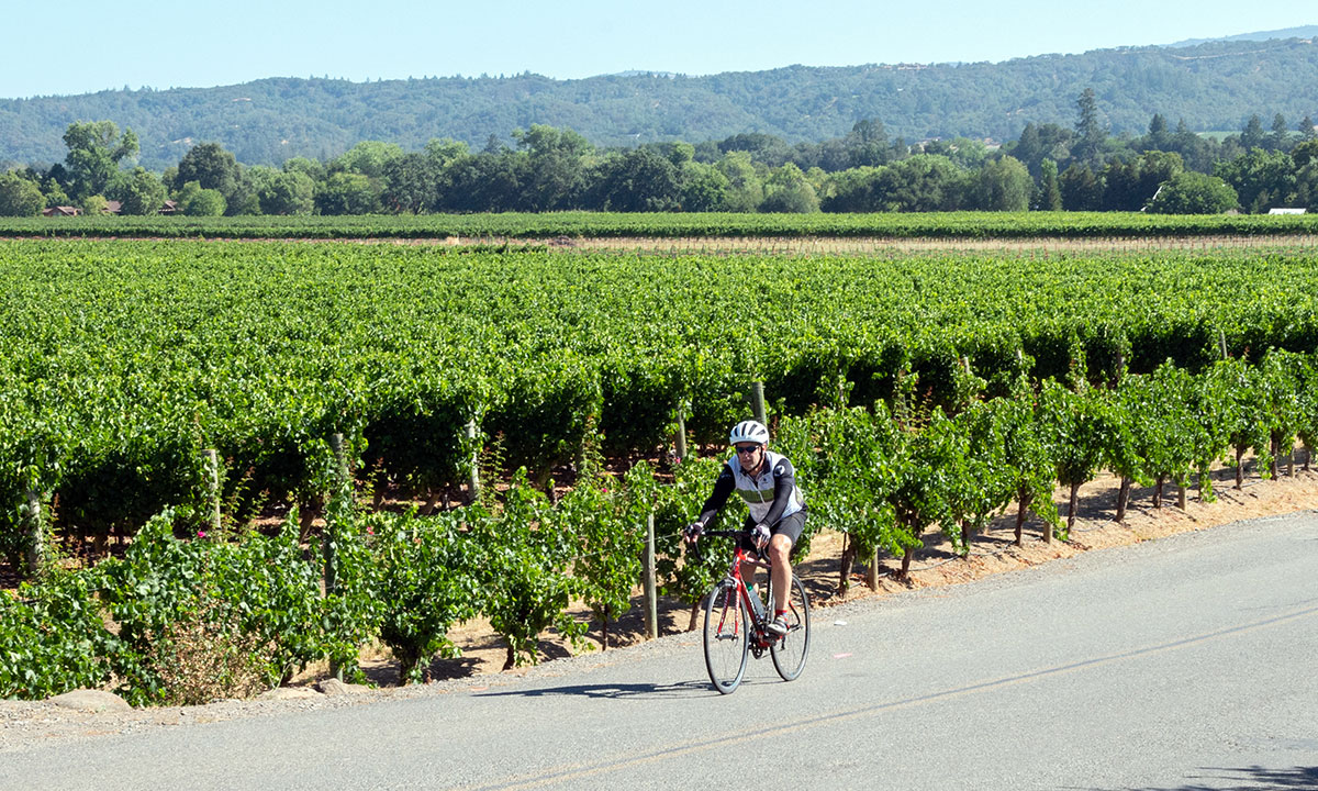 Healdsburg Happenings, July 20 Healdsburg Tribune