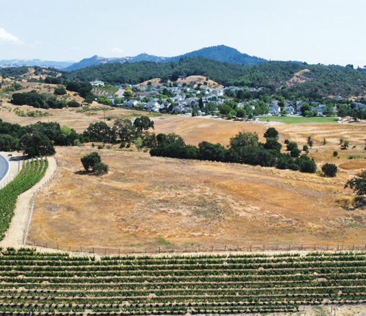 Council Opens Window to Park Sponsorships