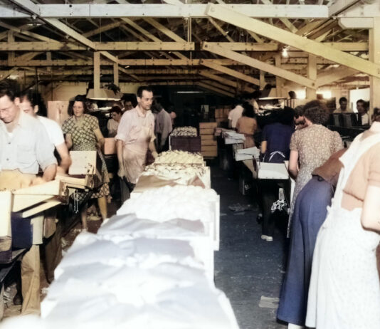 Flashbacks from Healdsburg