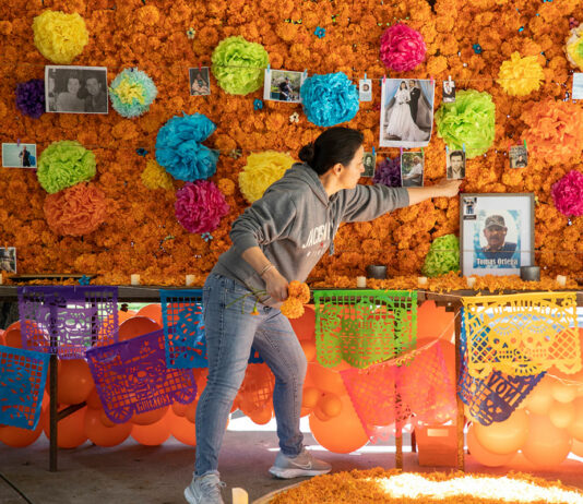 Healdsburg Happenings, Oct. 24 Healdsburg Dia de los Muertos on the Plaza_29 October 2023