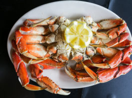 Dungeness Crab