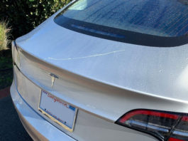 Police Log, Nov. 20-26