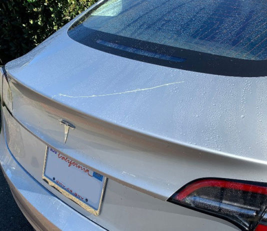 Police Log, Nov. 20-26