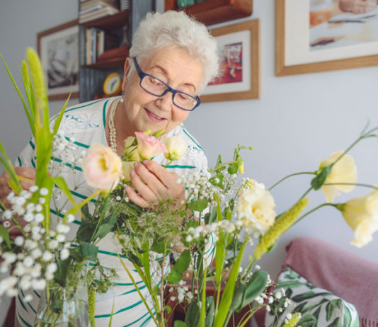 healdsburg senior living