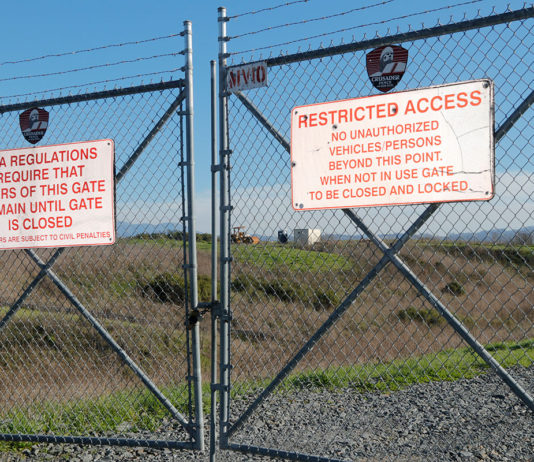 Permanent Composting Facility Coming to Windsor