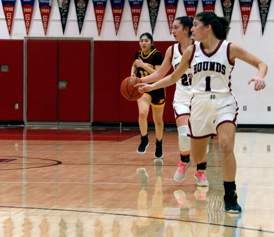 Girls Hoops Teams on Winning Streaks