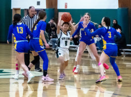 Lady Spartans Reach Semifinals, Fall to Pt. Arena