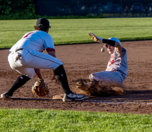 Baseball Hounds Prove Dogged Foes