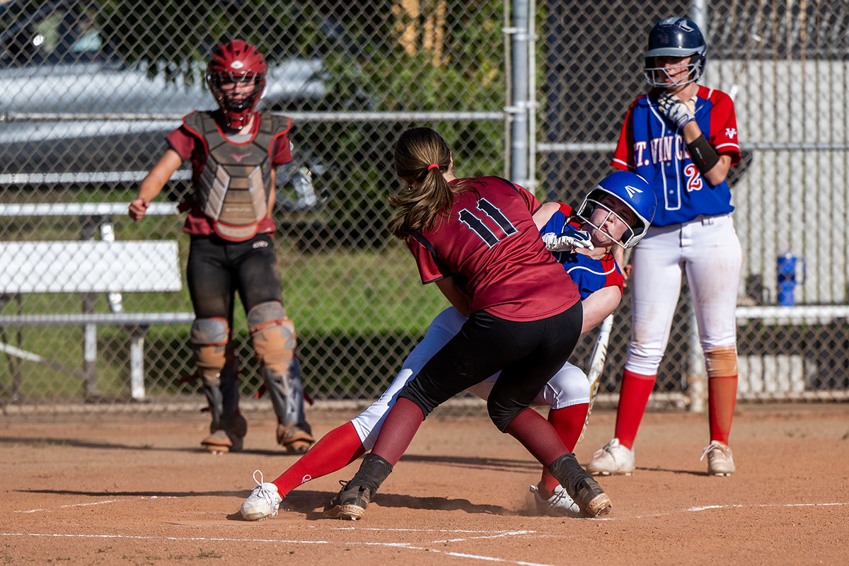 Healdsburg Greyhounds Softball: Scores, Stats, and Highlights