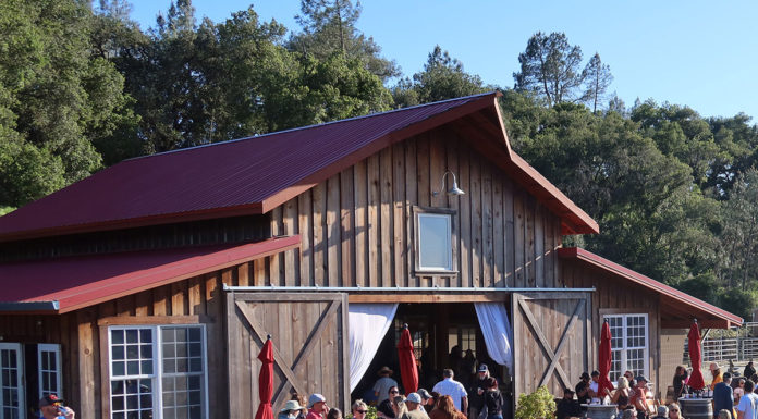 Party at the Ranch
