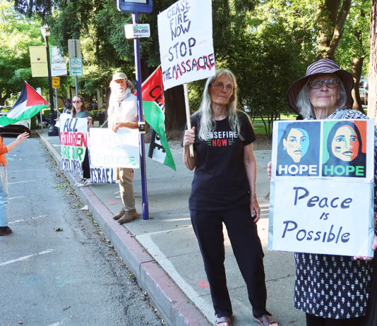 Peace protestors in Healdsburg