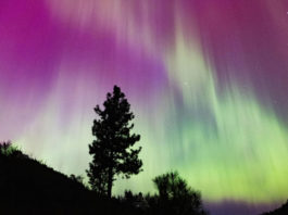 Snapshot: Aurora Borealis Northern Lights - crop