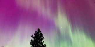 Northern Lights - crop