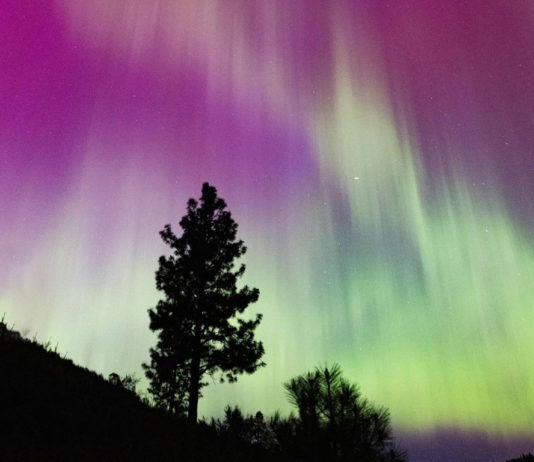 Northern Lights - crop