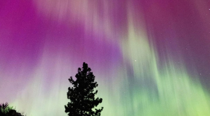 Northern Lights - crop