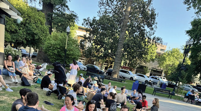 Drinking in Public Rules May Stay Relaxed, Says City Mental picnic