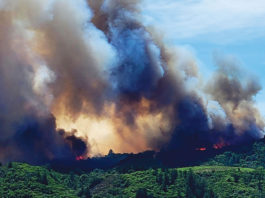 Hillside on fire