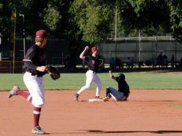 Prune Packers Stay Hot as PEL Season Begins Baseball players