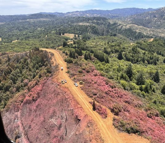 Retardant Dropped on ‘Point Fire’ Destroys Vineyard: Report