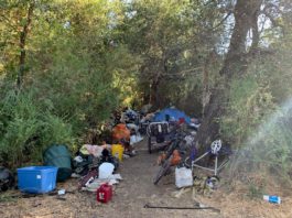 Healdsburg Cops Bust Creekside Encampment