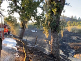 Rural Healdsburg Fire Caused by Driver With Busted Tire: Cal Fire