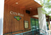 How the candidates see themselves City Hall