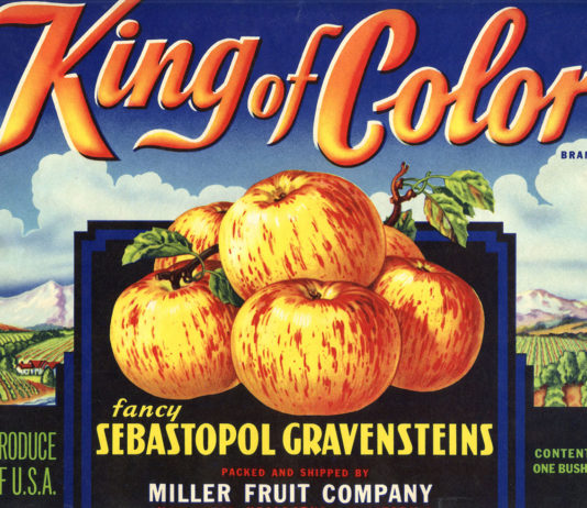 Flashbacks for July 11 Fruit box label