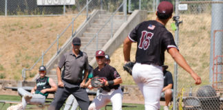 Baseball action