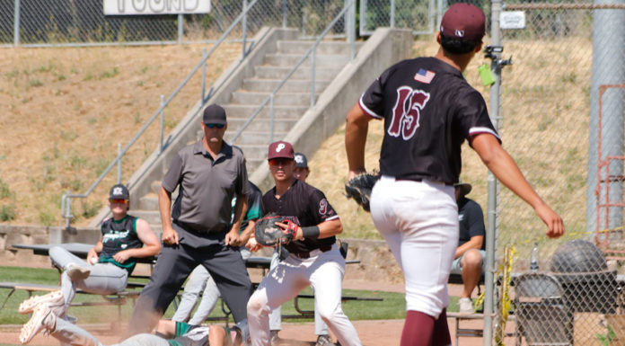 Baseball action